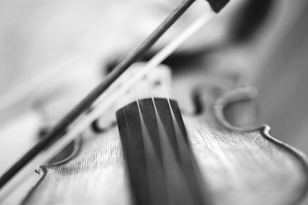 cours de violon adultes